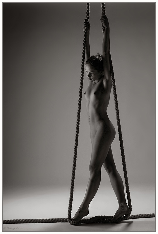 Lightray 1160596794 i 4905 full